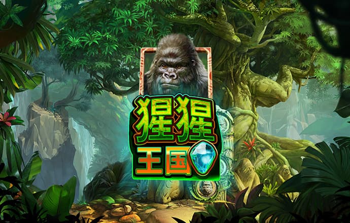 4g娱乐官方版下载